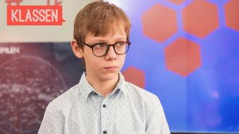 The pigeons are watching us!