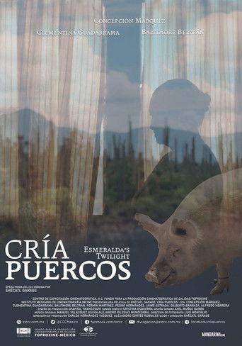 Esmeralda’s Twilight film afişi