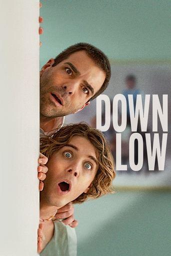 Down Low film afişi
