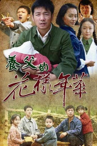 养父的花样年华 dizi afişi