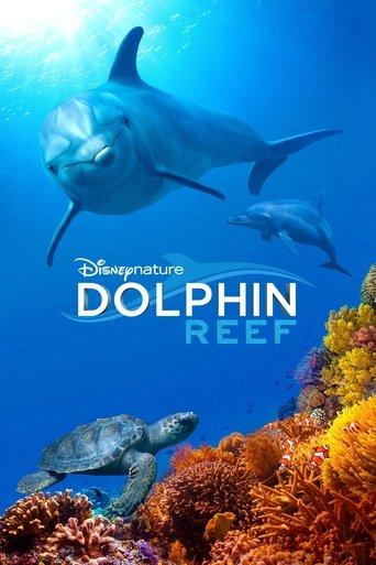 Dolphin Reef film afişi