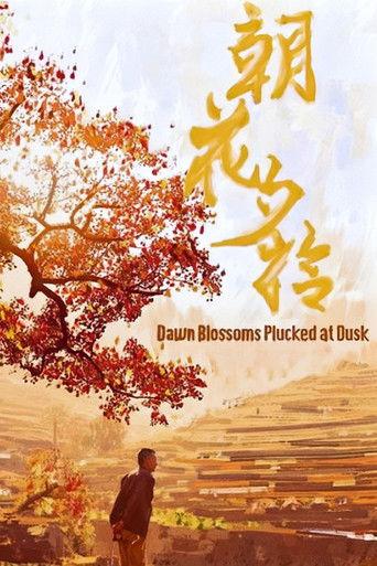 朝花夕拾 film afişi