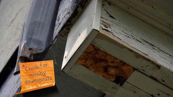 The Suburban House Part 1