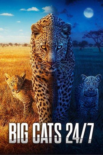 Big Cats 24/7 dizi afişi
