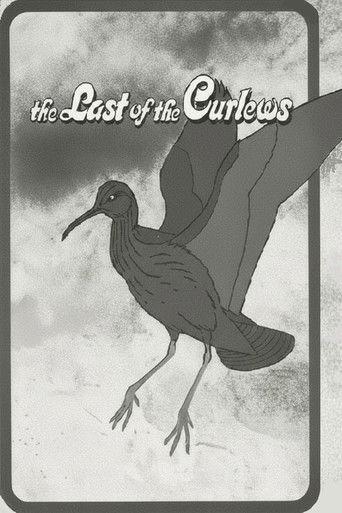 The Last of the Curlews film afişi