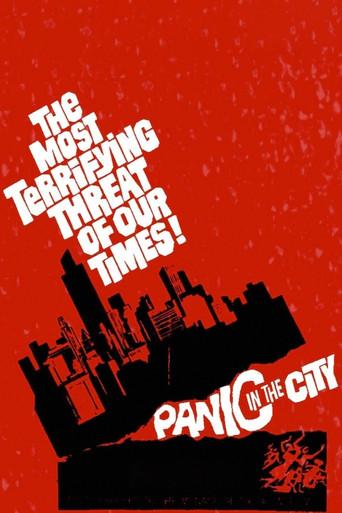 Panic in the City film afişi