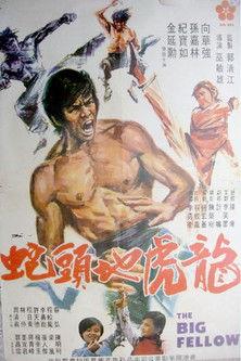 The Big Fellow film afişi