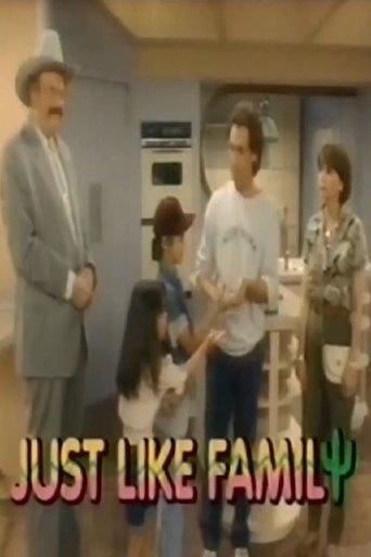 Just Like Family dizi afişi