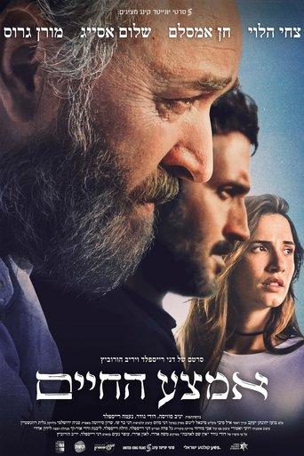 Midlife film afişi
