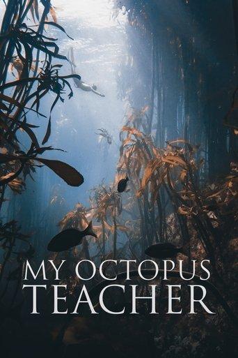 My Octopus Teacher film afişi