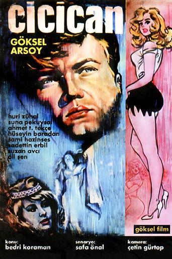 Cici Can film afişi