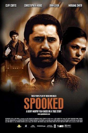 Spooked film afişi