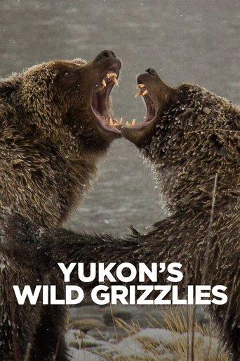 Yukon's Wild Grizzlies film afişi