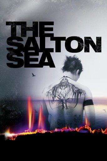 The Salton Sea film afişi