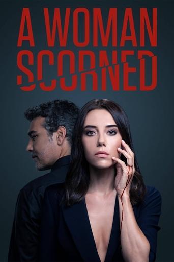 A Woman Scorned dizi afişi