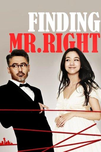 Finding Mr. Right film afişi