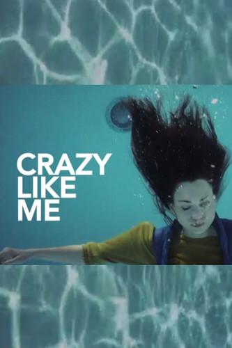 Crazy Like Me film afişi