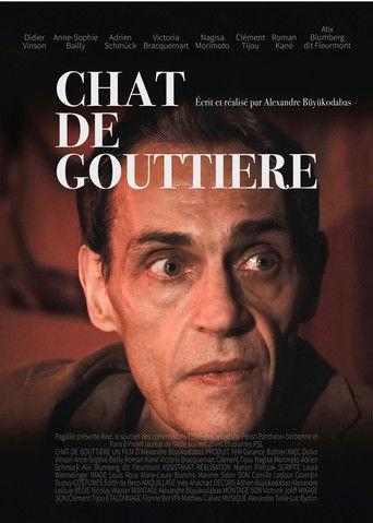 Chat de gouttière film afişi