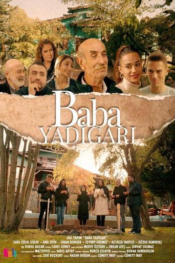 Baba Yadigarı film afişi