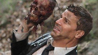 The Family in the Feud