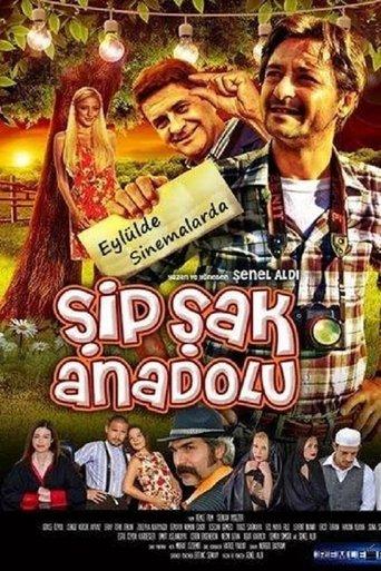 Şipşak Anadolu film afişi