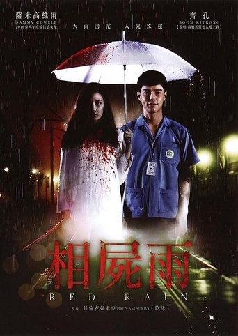 Love Rain film afişi