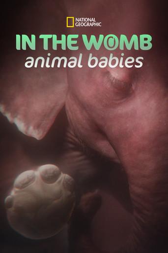 In the Womb: Animal Babies dizi afişi