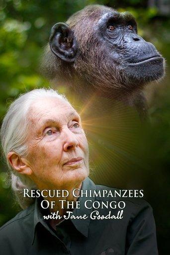 Rescued Chimpanzees of the Congo with Jane Goodall dizi afişi