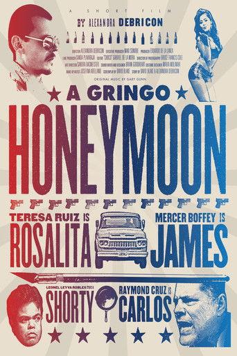 A Gringo Honeymoon film afişi