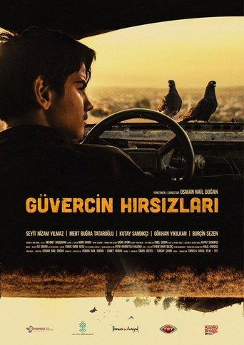 The Pigeon Thieves film afişi