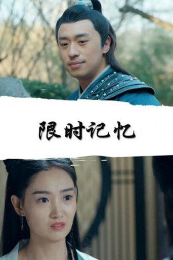 Limited Time Memory film afişi