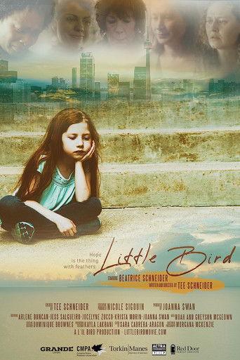 Little Bird film afişi