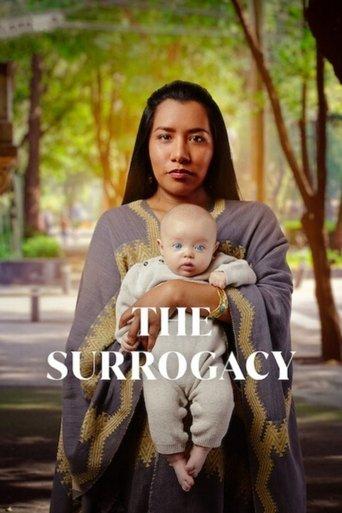 The Surrogacy dizi afişi