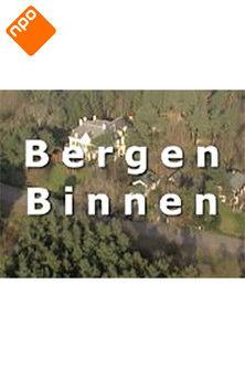Bergen Binnen dizi afişi