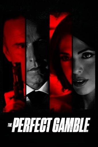 The Perfect Gamble film afişi