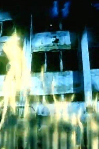 Black Kites film afişi