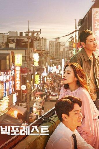 Big Forest dizi afişi