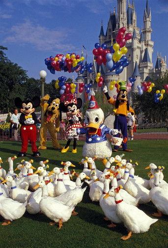 Donald Duck's 50th Birthday film afişi