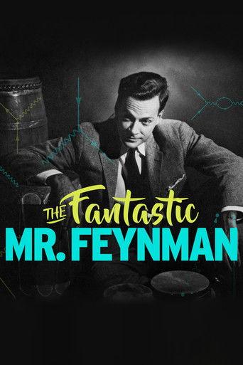The Fantastic Mr Feynman film afişi