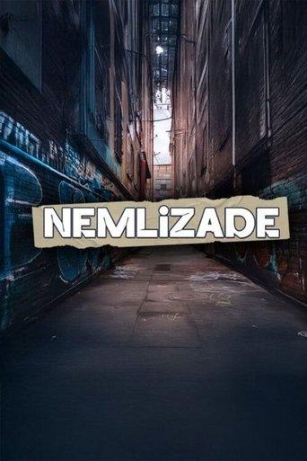 Nemlizade dizi afişi