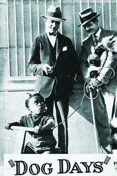 Dog Days film afişi