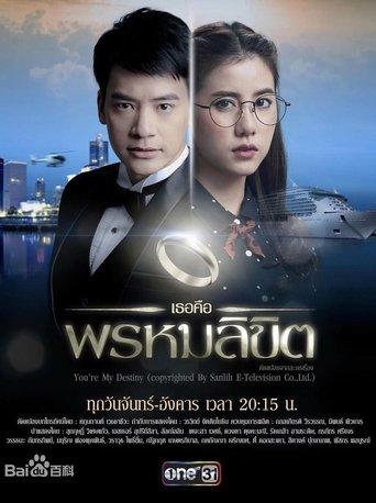 You're My Destiny dizi afişi