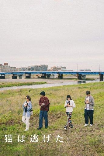 Straying film afişi