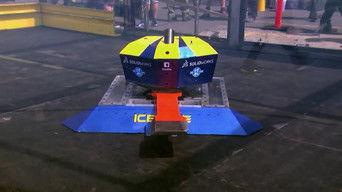 Are You Yeti to Rumble?