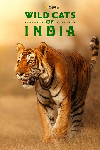 Wild Cats of India dizi afişi