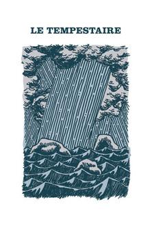 The Storm-Tamer film afişi