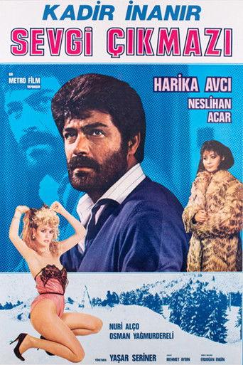 Sevgi Çıkmazı film afişi
