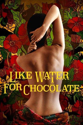 Like Water for Chocolate film afişi