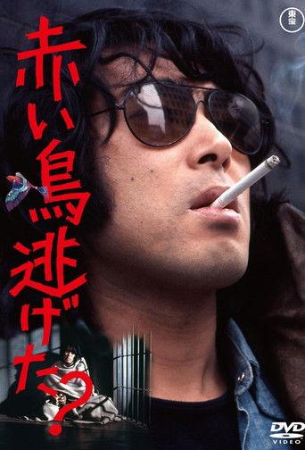 Did the Red Bird Escape? film afişi