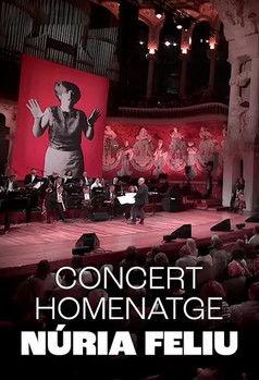 Núria Feliu al Palau film afişi